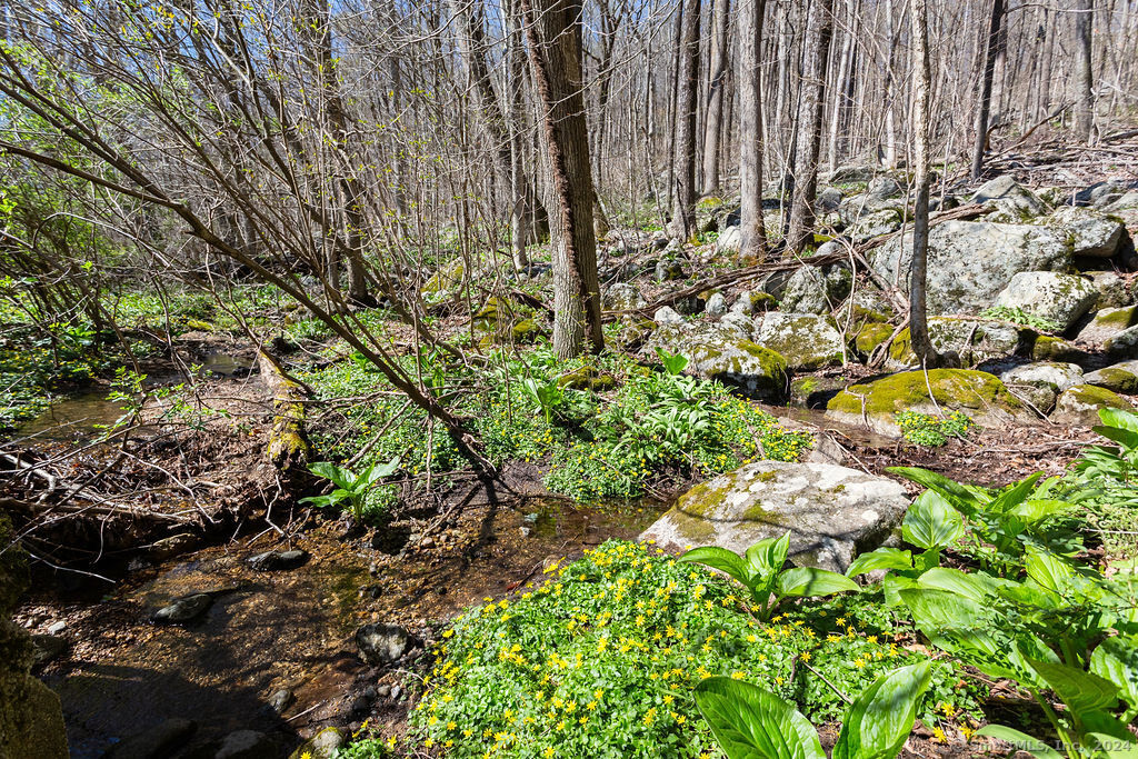 3-20 Wagon Wheel Road, Sherman, Connecticut image 11