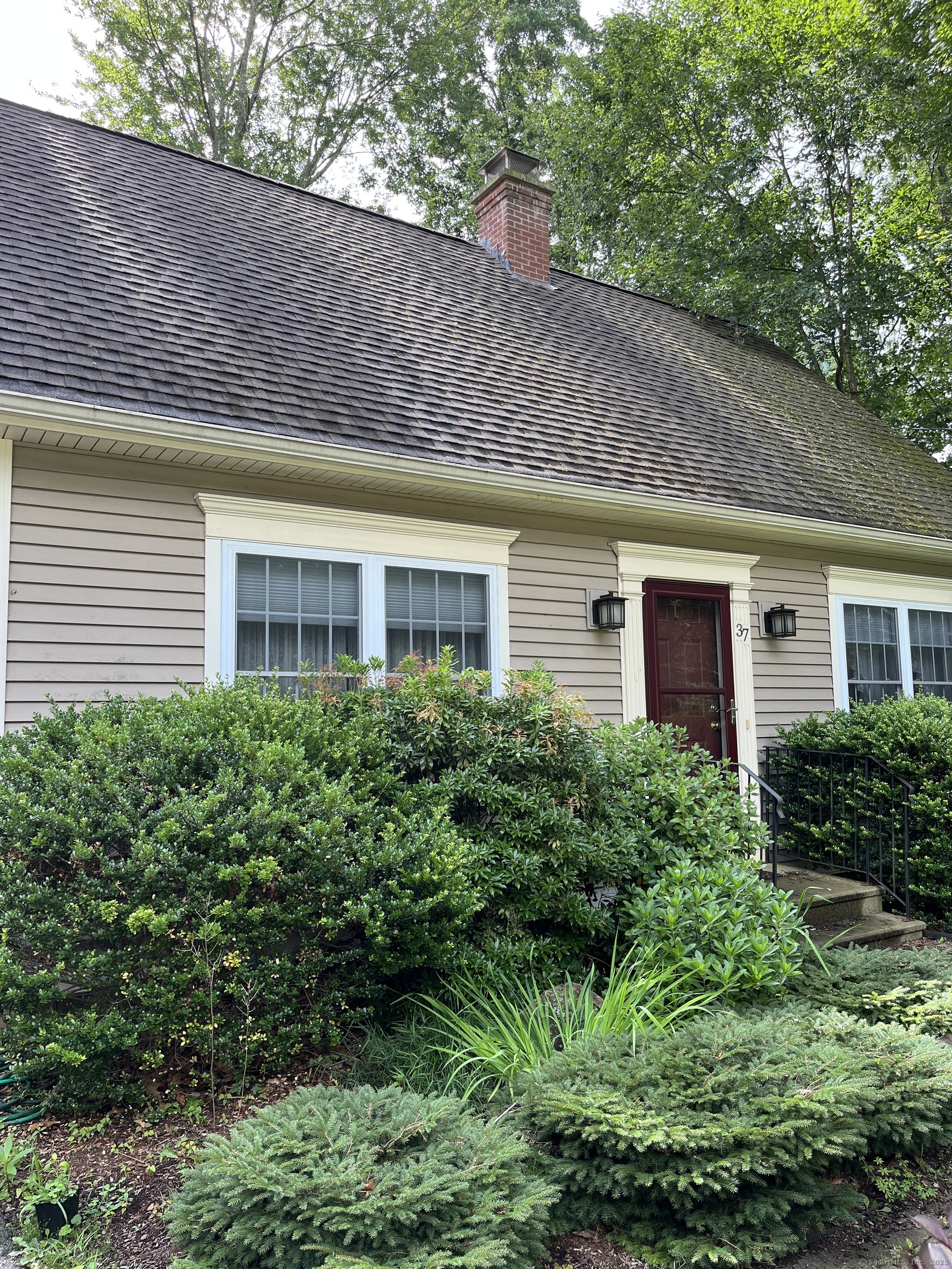 37 Andrews Street