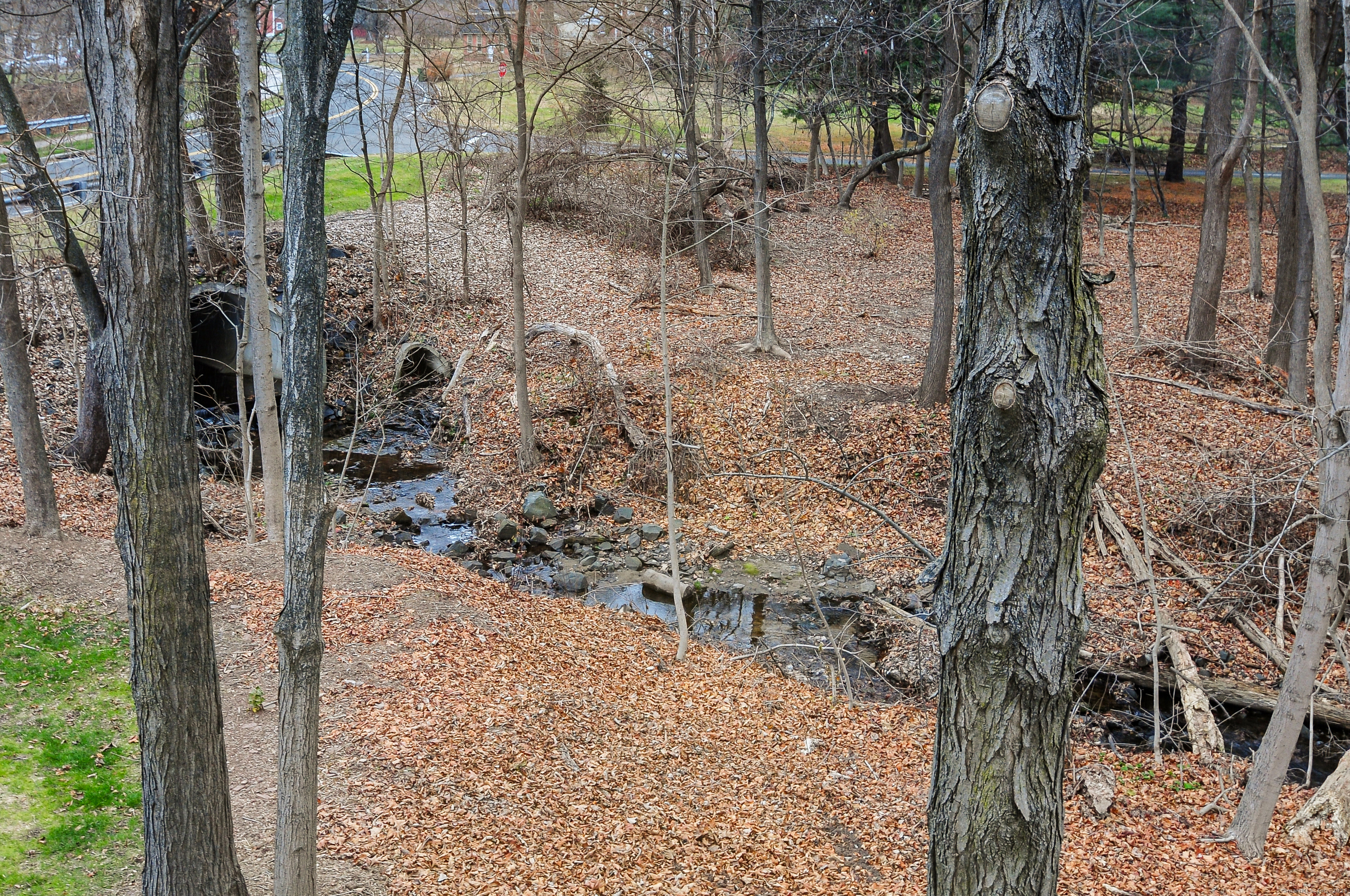 Windsor, Connecticut 06095, United States, 3 Bedrooms Bedrooms, ,1 BathroomBathrooms,Residential,Coming Soon,247773