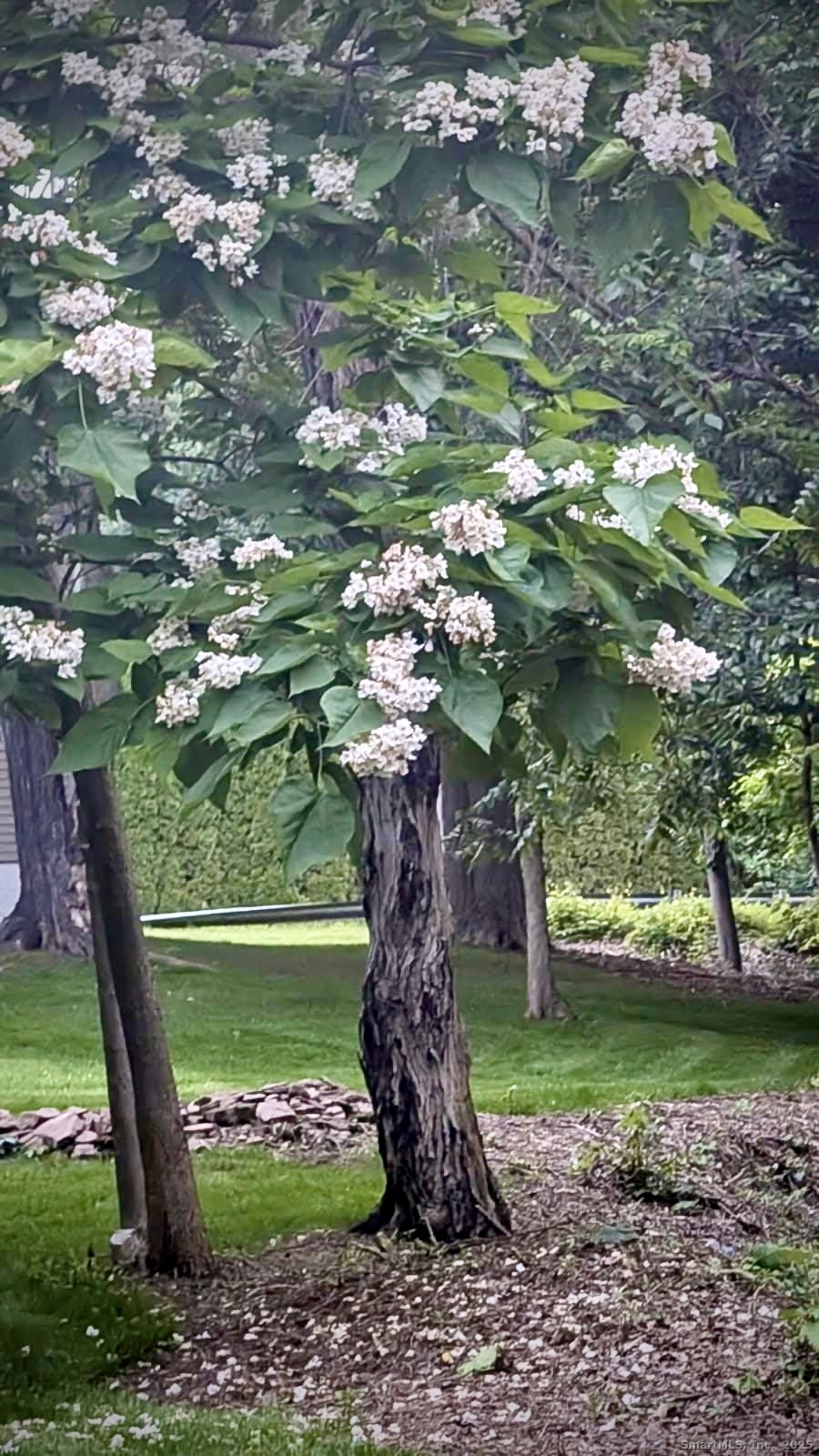 Windsor, Connecticut 06095, United States, 3 Bedrooms Bedrooms, ,1 BathroomBathrooms,Residential,Coming Soon,247773