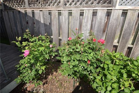 Tiny photo for 15 Trumbull Street, Stonington, CT 06378 (MLS # 24135037)