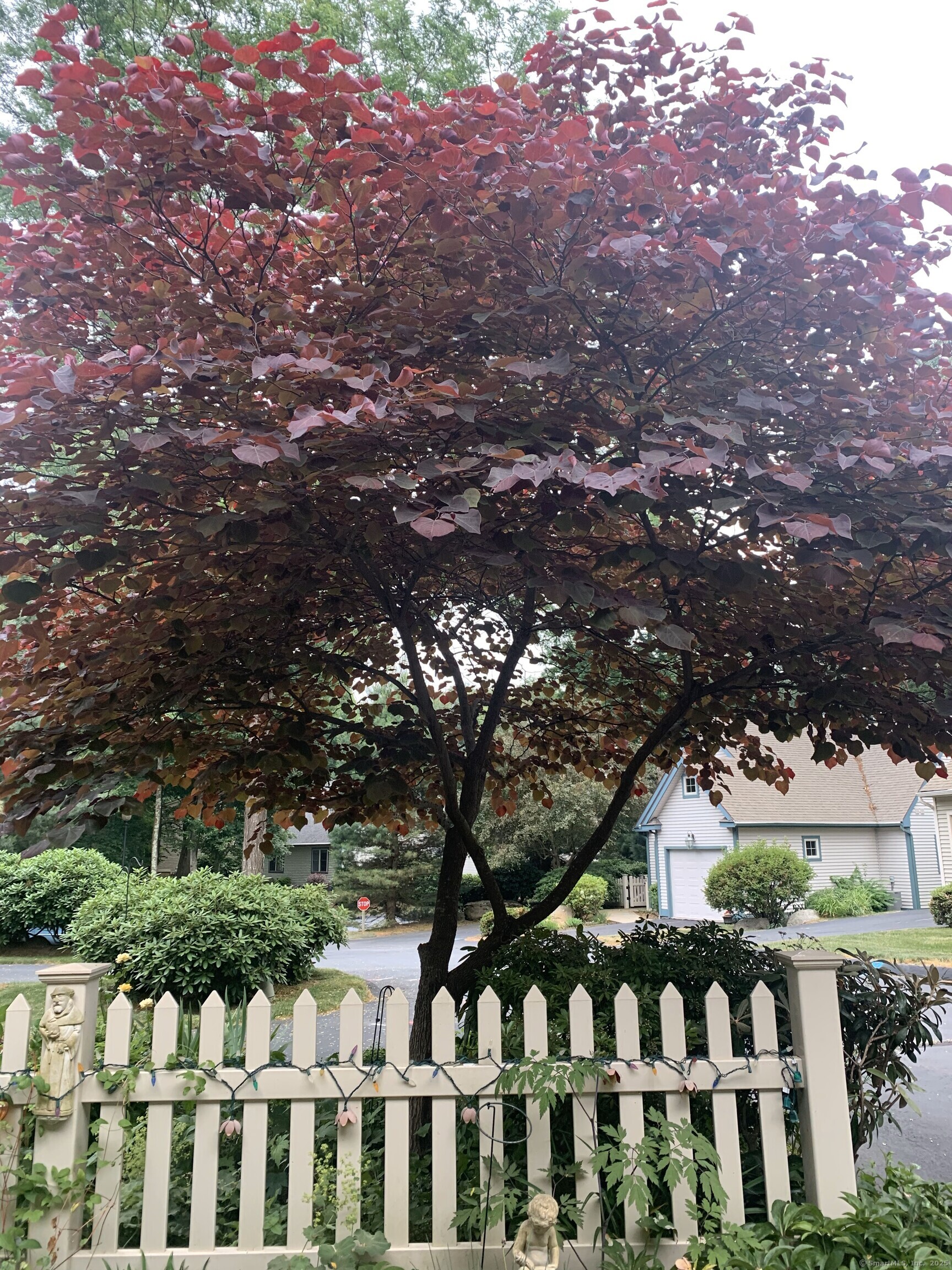 5 Blackberry Lane #5, East Lyme, Connecticut image 35