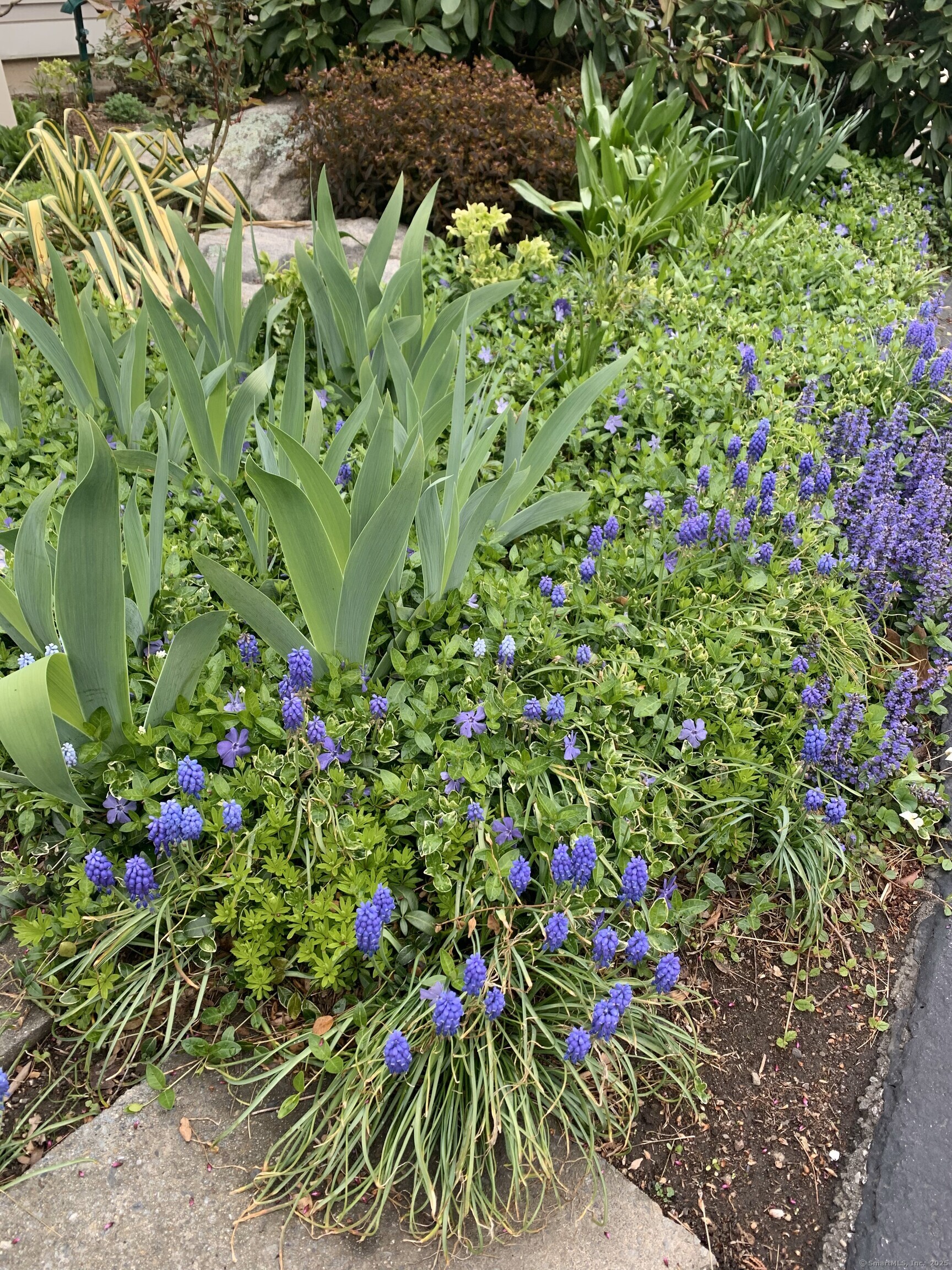 5 Blackberry Lane #5, East Lyme, Connecticut image 34