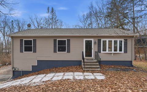 Photo of 40 Buff Cap Road, Ellington, CT 06029 (MLS # 24143602)