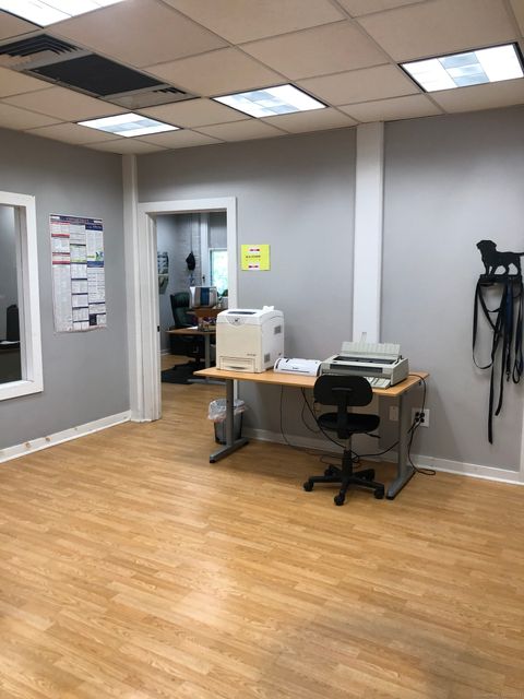 Tiny photo for 15 Washington Street, Plainville, CT 06062 (MLS # 24124616)