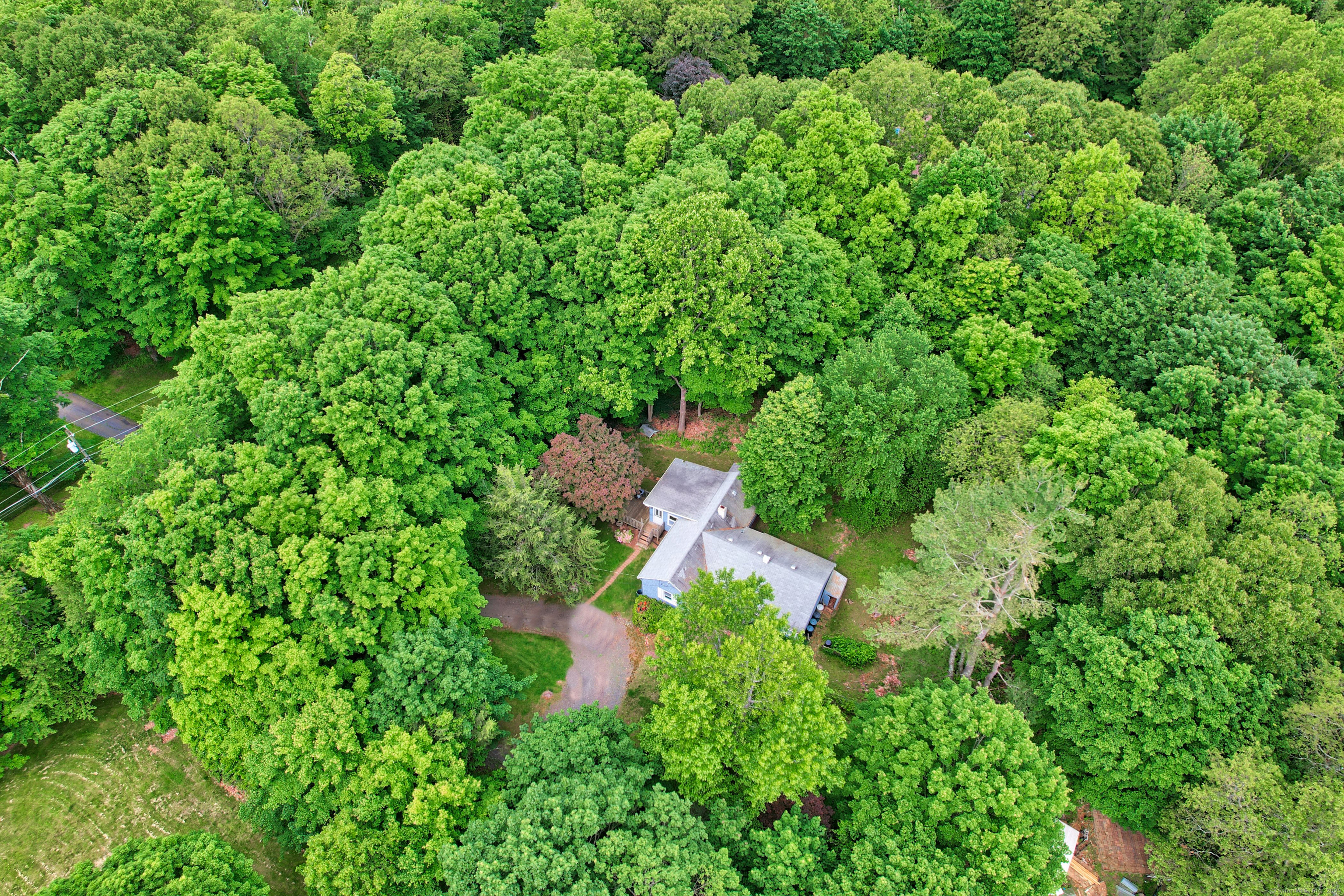 316 Jinny Hill Road, Cheshire, Connecticut image 22