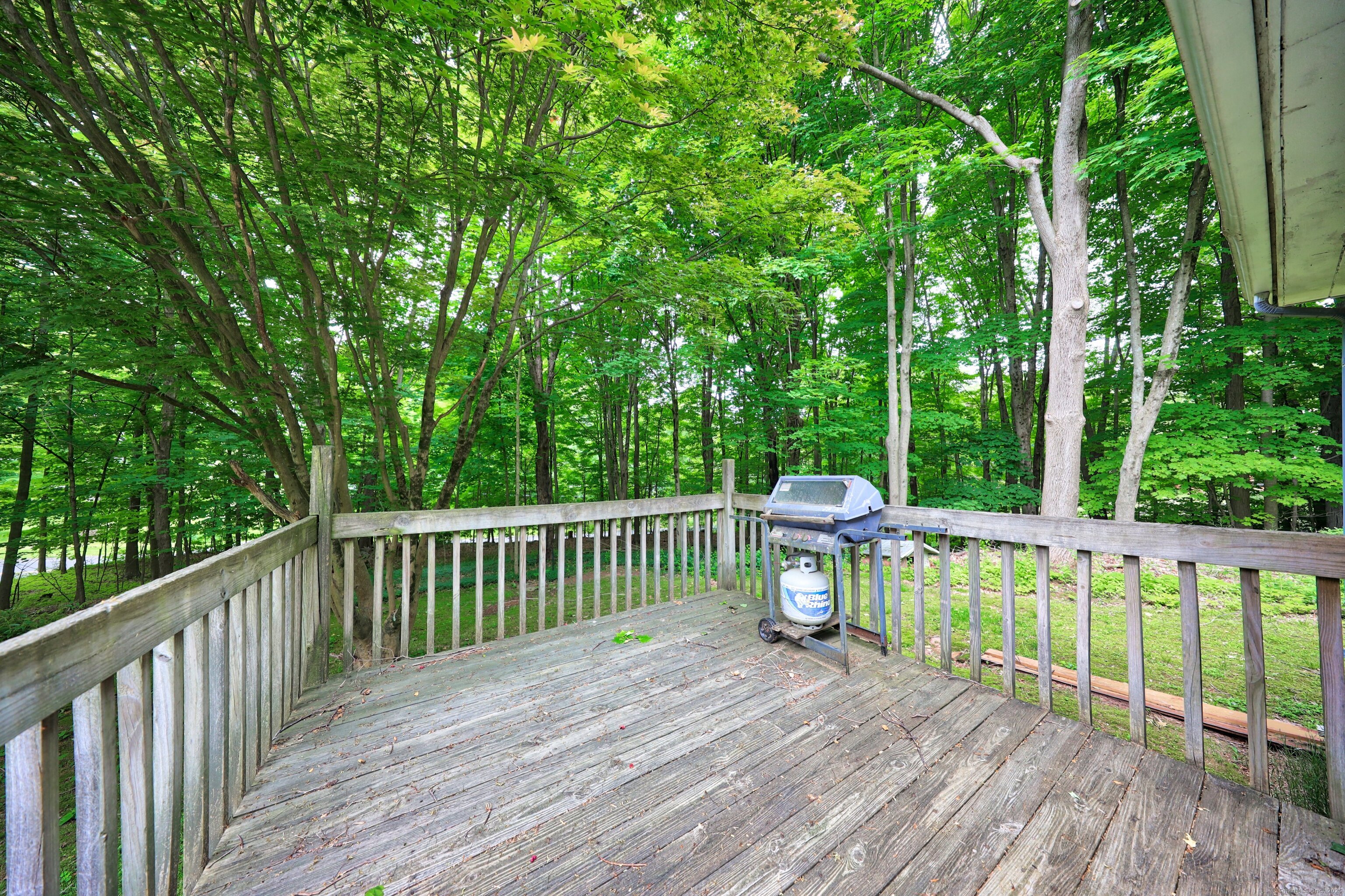316 Jinny Hill Road, Cheshire, Connecticut image 7