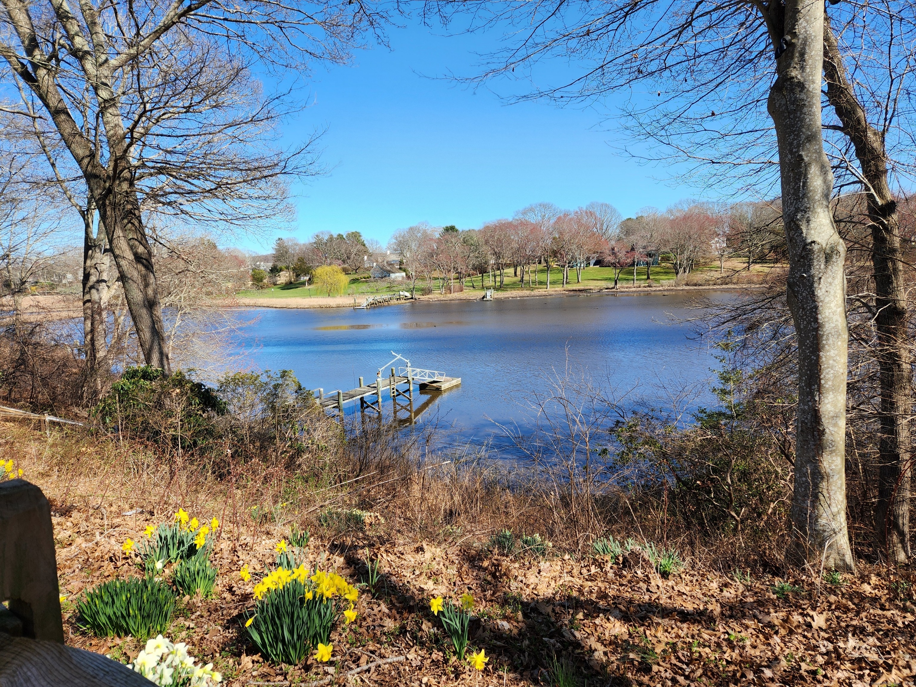 47 River Road, Essex, Connecticut image 5