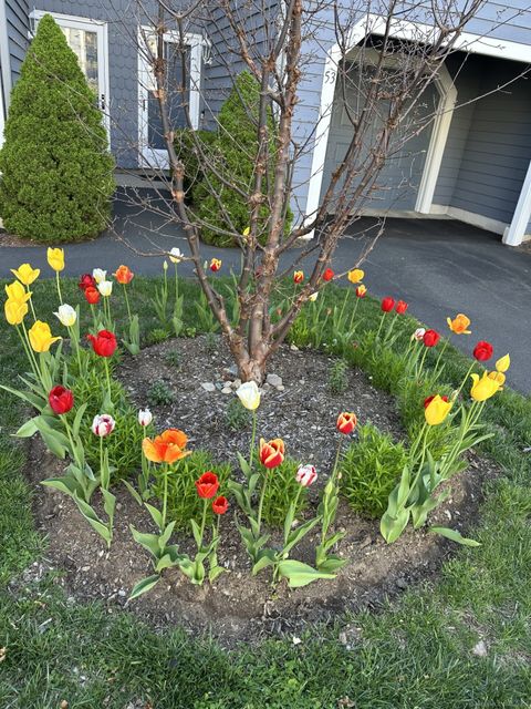 Tiny photo for 26 Fawn Ridge Lane #26, Wilton, CT 06897 (MLS # 24134370)