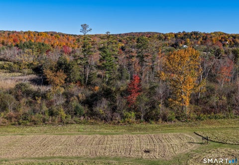 Tiny photo for 202 Sharon Valley Road, Sharon, CT 06069 (MLS # 24214792)