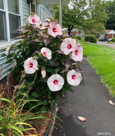 Tiny photo for 4 Beverly Drive, Ansonia, CT 06401 (MLS # 24152020)