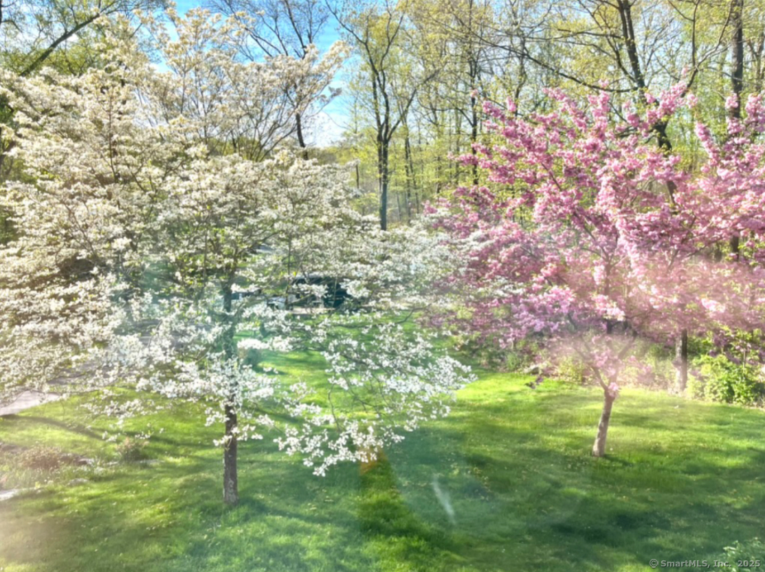 6 Obtuse Road, Brookfield, Connecticut image 38