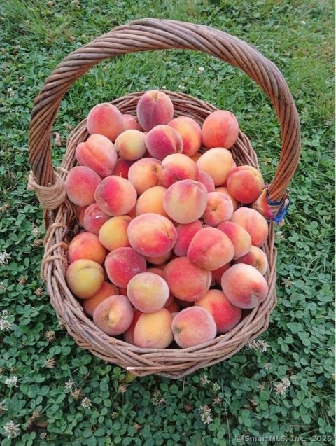 Tiny photo for 70 Lawlor Street, Waterbury, CT 06708 (MLS # 24136649)