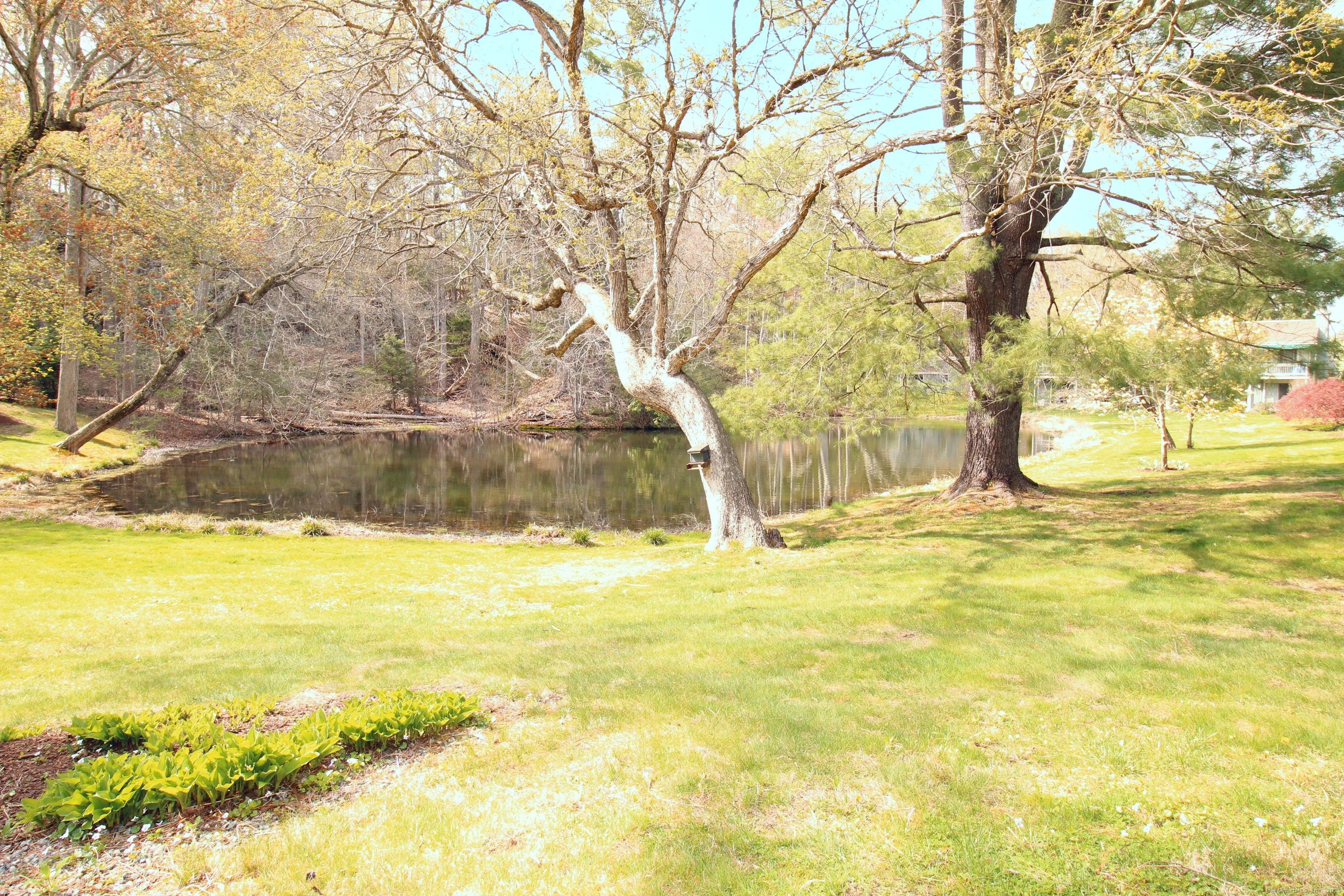 336 Heritage Village #B, Southbury, Connecticut image 20