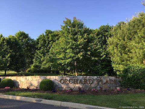 Photo of 20 Orchard Street #103, Brookfield, CT 06804 (MLS # 24175321)