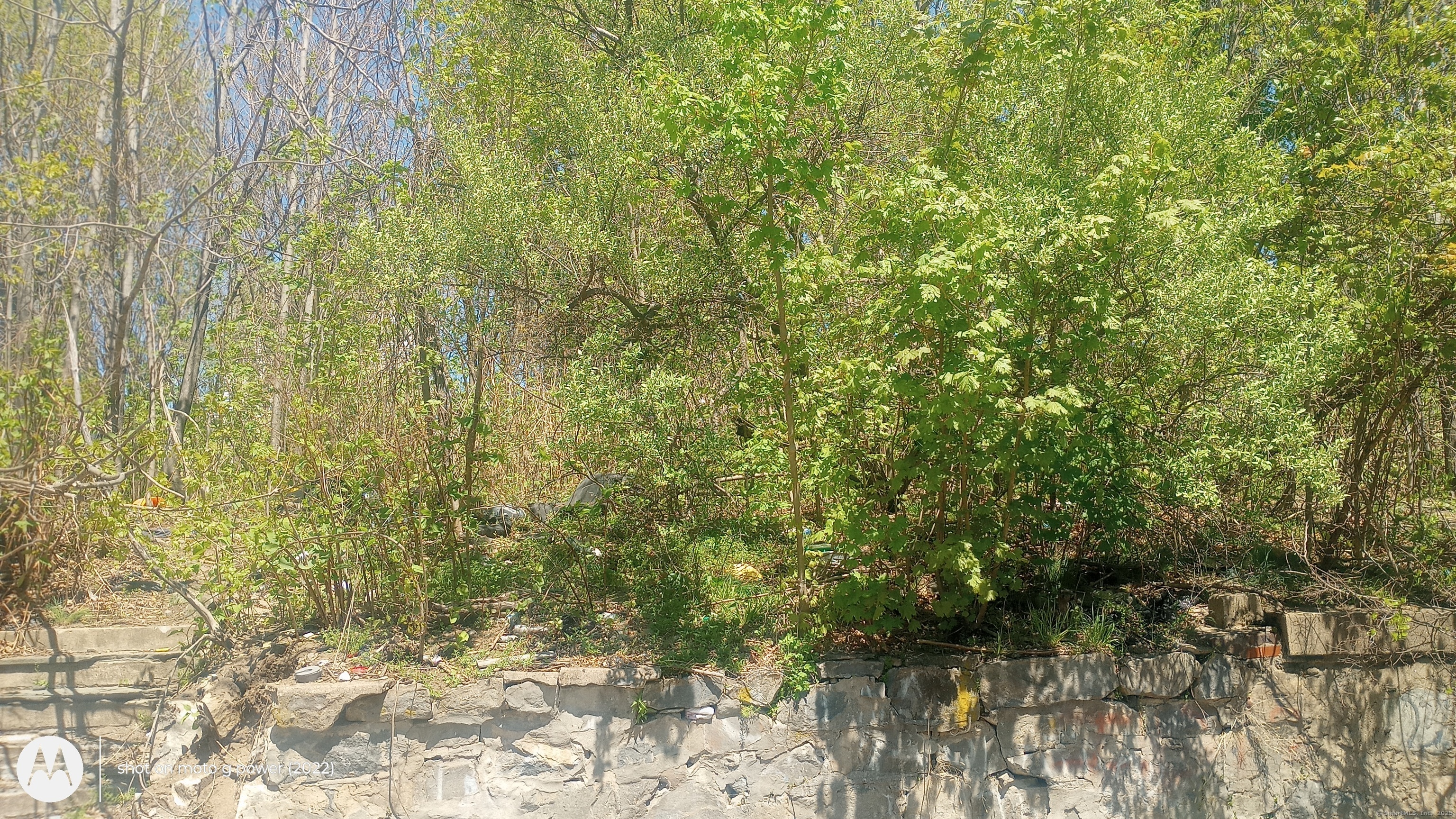 Catherine Avenue, Waterbury, Connecticut image 3