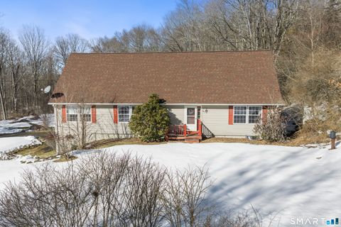 Photo of 133 White Deer Rocks Road, Woodbury, CT 06798 (MLS # 24156017)