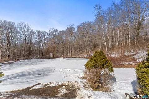 Tiny photo for 133 White Deer Rocks Road, Woodbury, CT 06798 (MLS # 24156017)