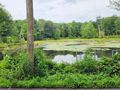 Bogg Lane Lebanon CT 06249