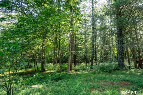 Tiny photo for Mansfield, CT 06268 (MLS # 24195731)
