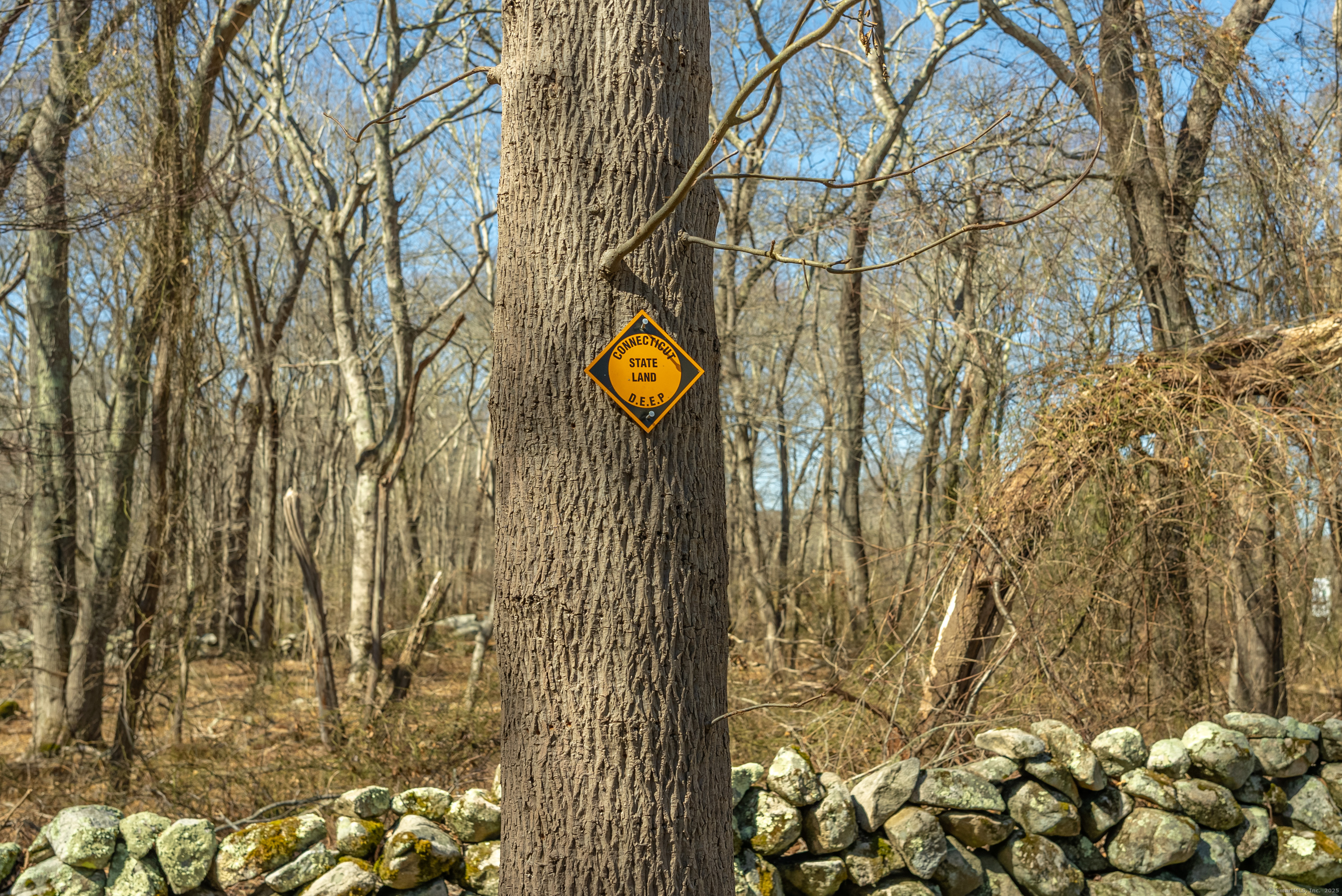 1 Wequetequock Passage, Stonington, Connecticut image 39