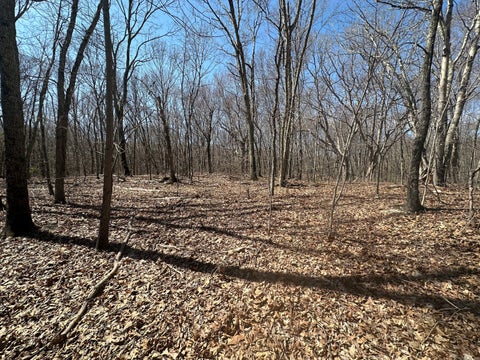 Vacant Land For Sale - Cowles Road<br/> Litchfield County, Woodbury, CT 06798