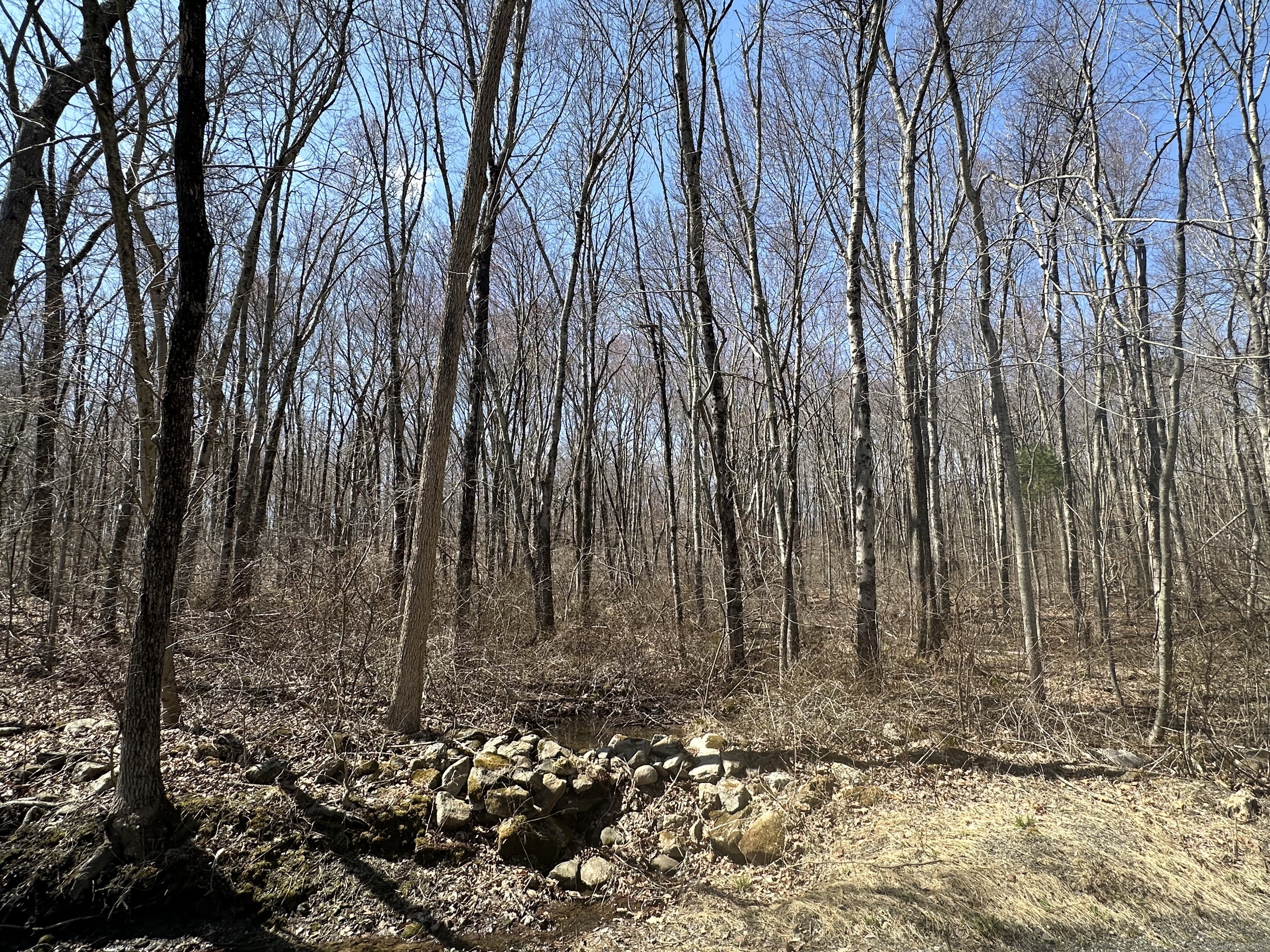 Cowles Road, Woodbury, Connecticut image 7