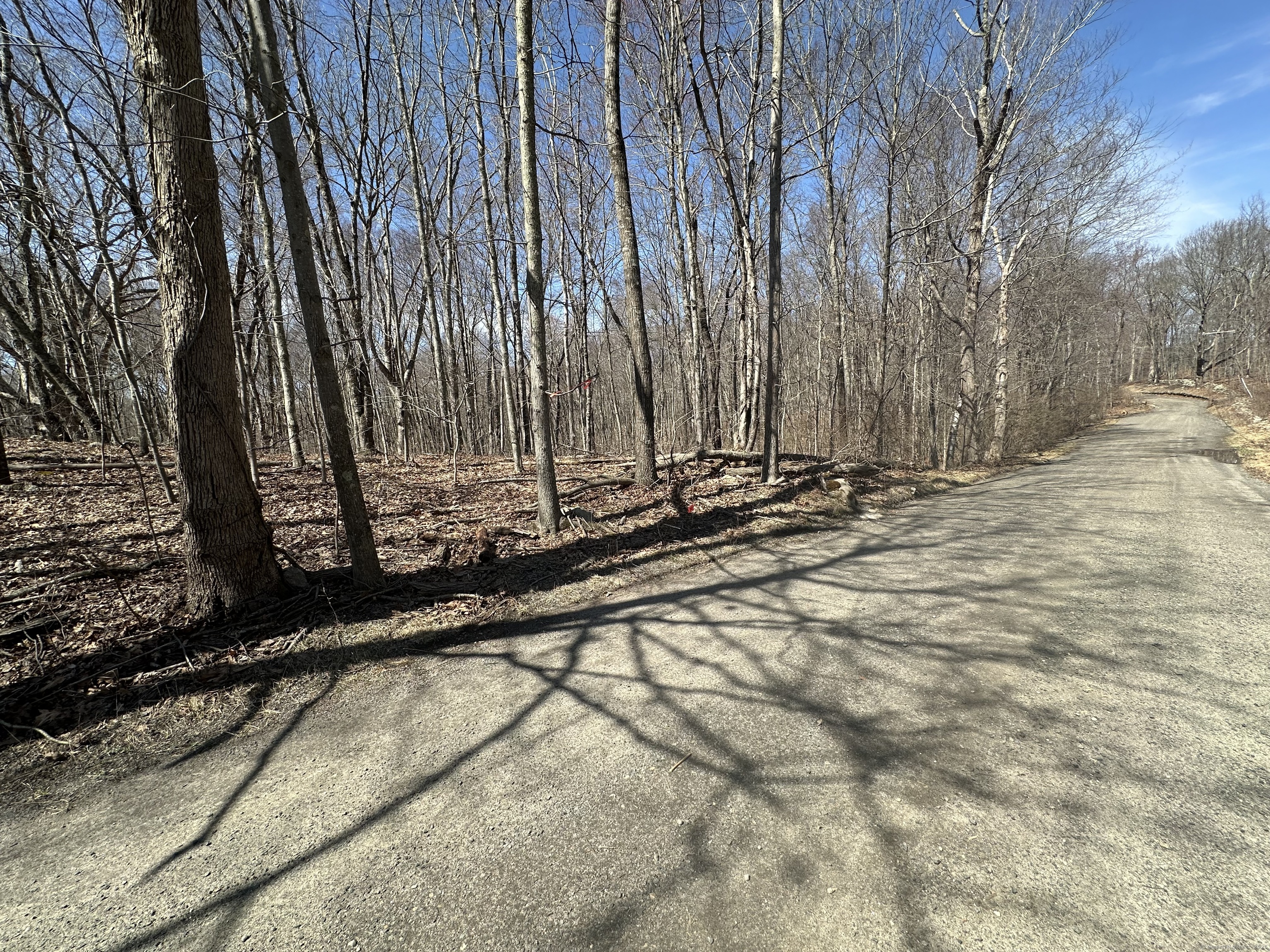 Cowles Road, Woodbury, Connecticut image 8