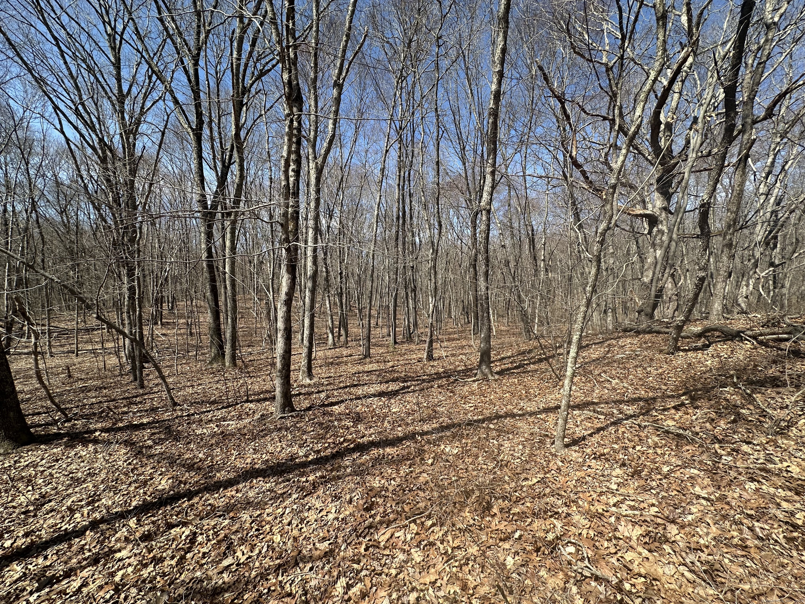 Cowles Road, Woodbury, Connecticut image 2