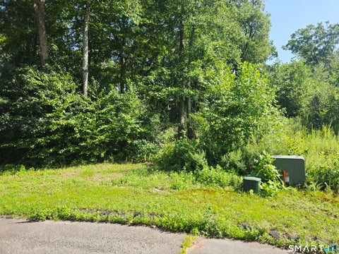 Tiny photo for 7 Vona Way, Newtown, CT 06470 (MLS # 24201735)