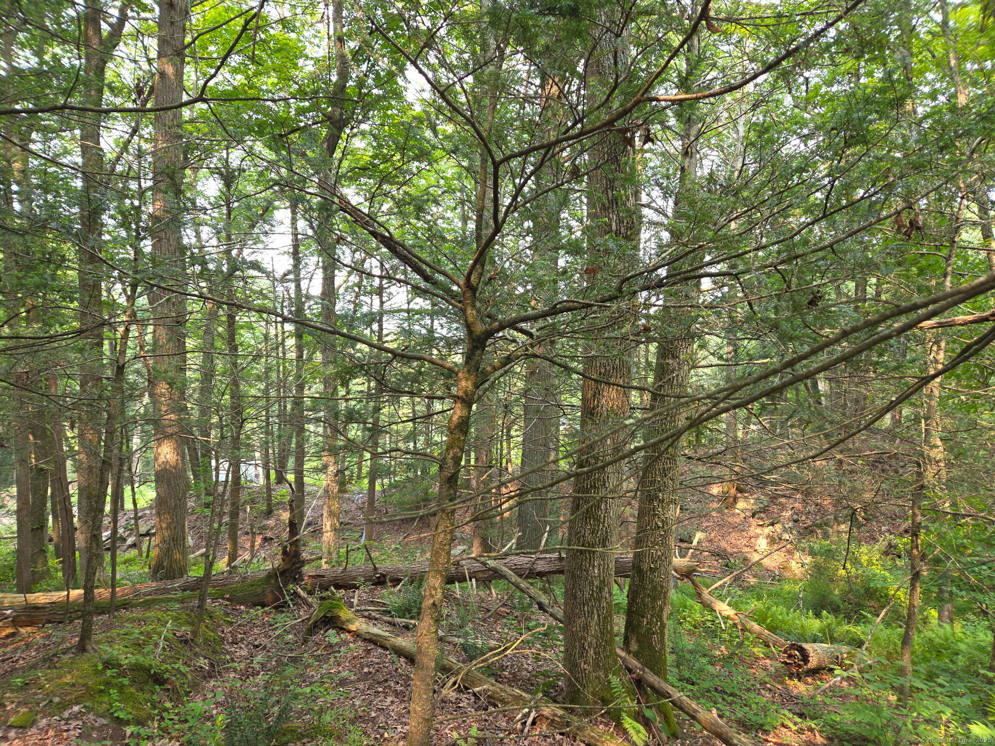 34 Front of The Mountain Road