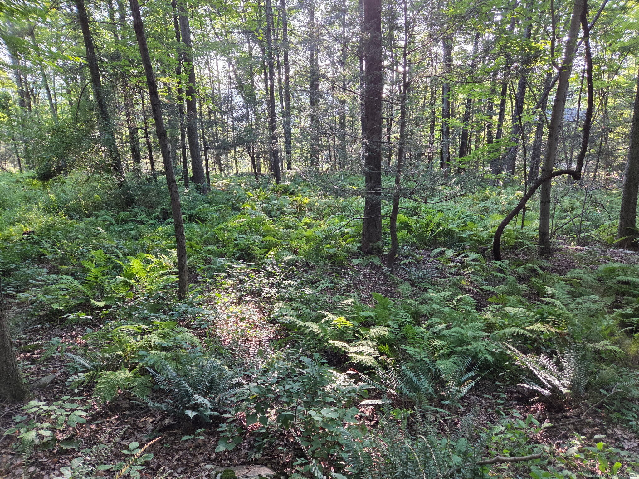 34 Front of The Mountain Road