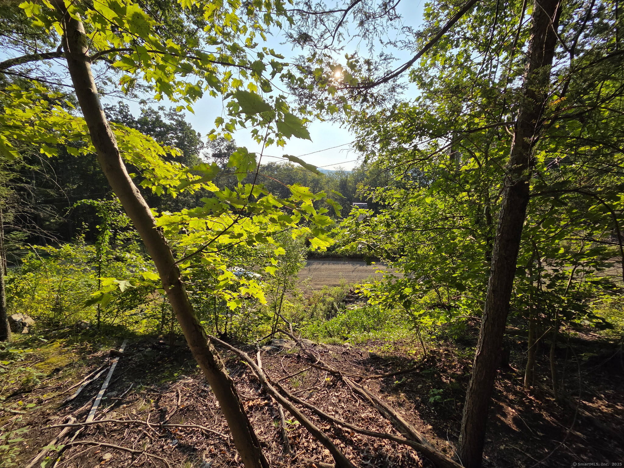 34 Front of The Mountain Road
