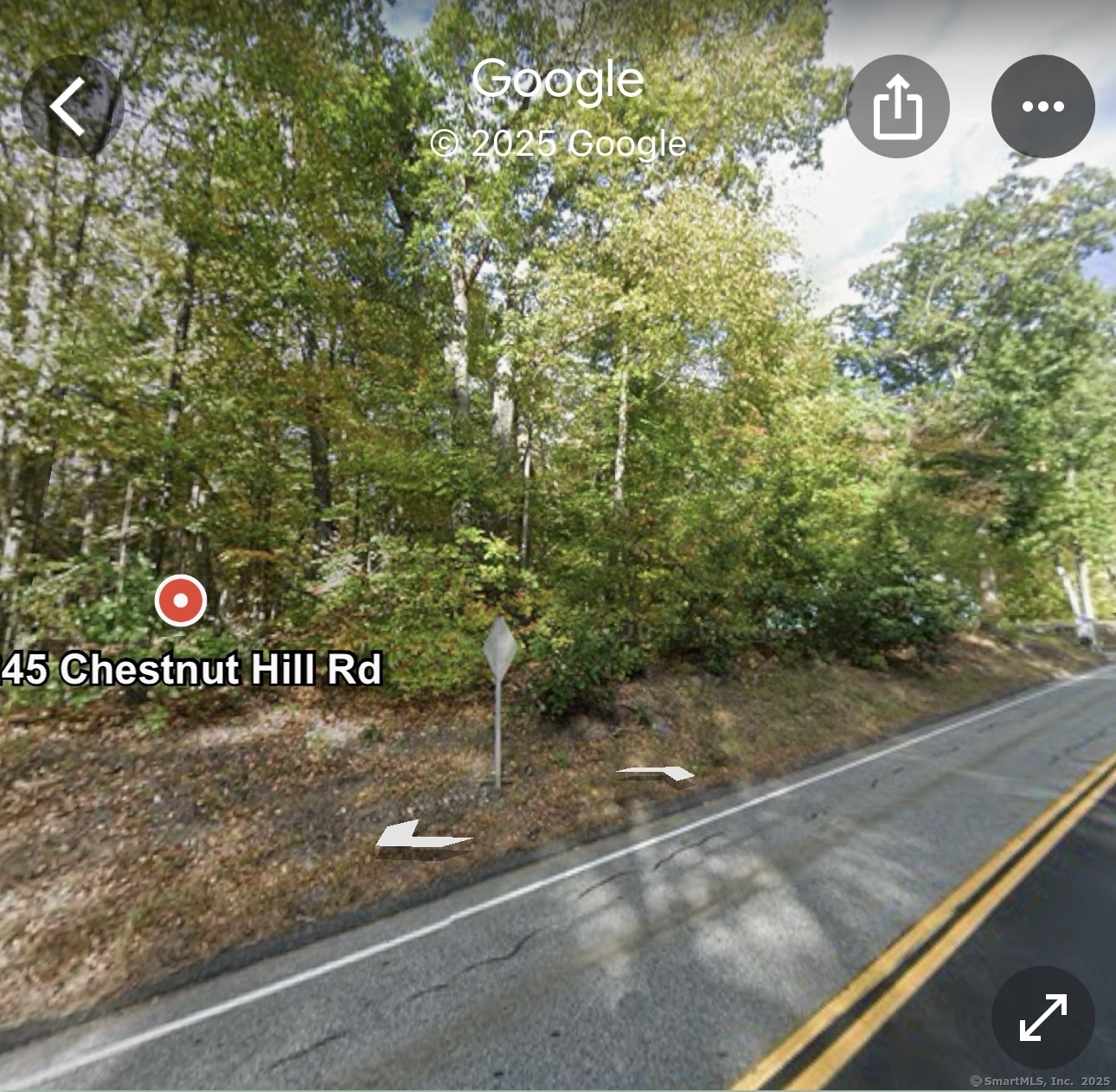 245 Chestnut Hill Road