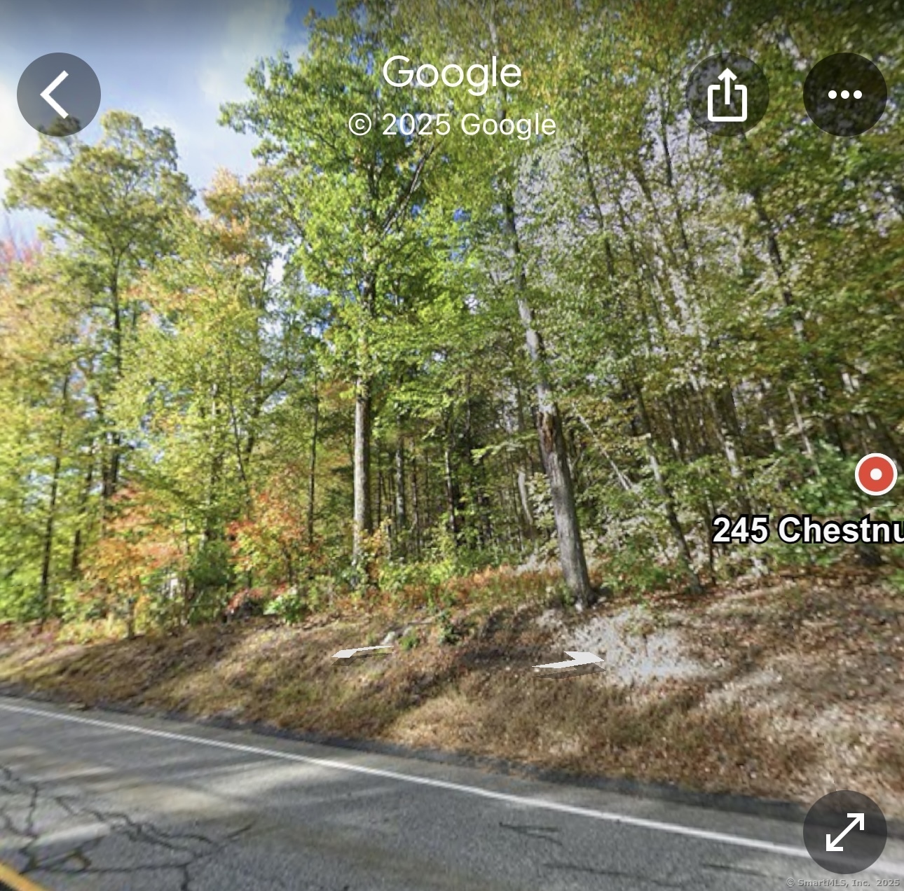 245 Chestnut Hill Road