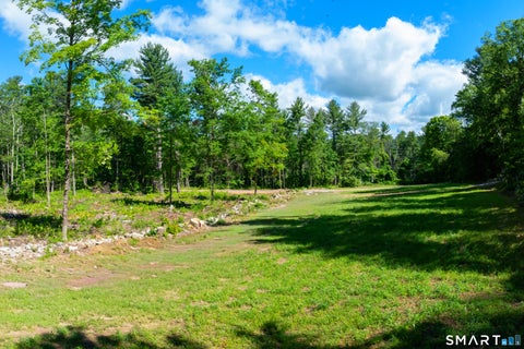 Tiny photo for 331 & 335 Town Street, Cornwall, CT 06796 (MLS # 24202398)