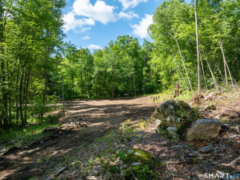 Tiny photo for 331 & 335 Town Street, Cornwall, CT 06796 (MLS # 24202398)