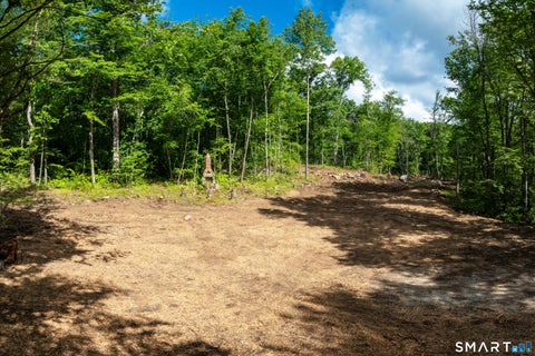 Tiny photo for 331 & 335 Town Street, Cornwall, CT 06796 (MLS # 24202398)
