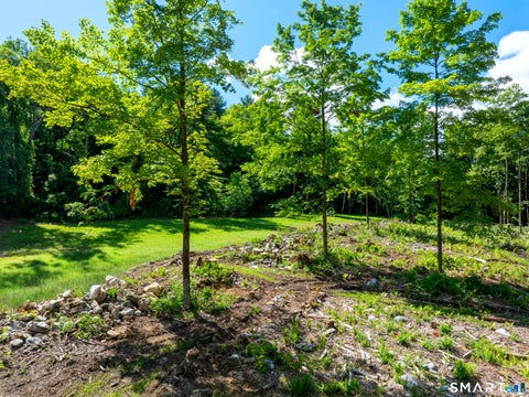 Photo of 331 & 335 Town Street, Cornwall, CT 06796 (MLS # 24202398)