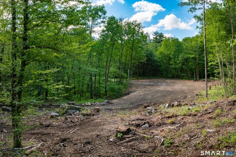Tiny photo for 331 & 335 Town Street, Cornwall, CT 06796 (MLS # 24202398)