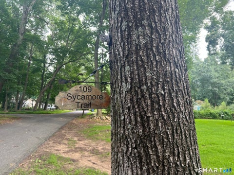 Tiny photo for 109 Sycamore Trail, Coventry, CT 06238 (MLS # 24202460)