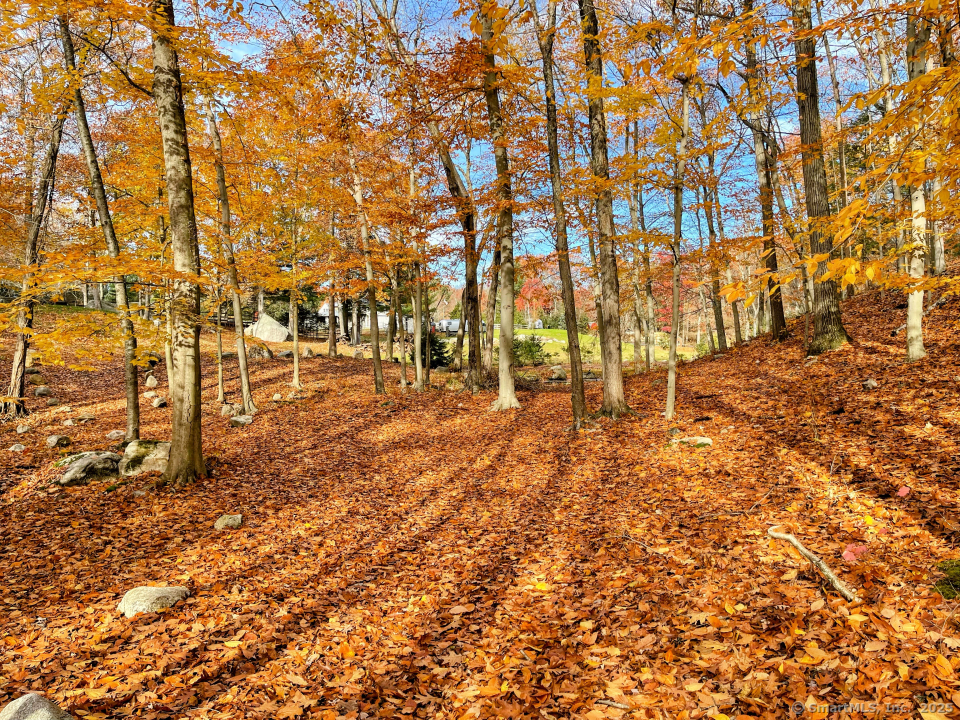 58 Botsford Hill Road, Newtown, Connecticut image 34