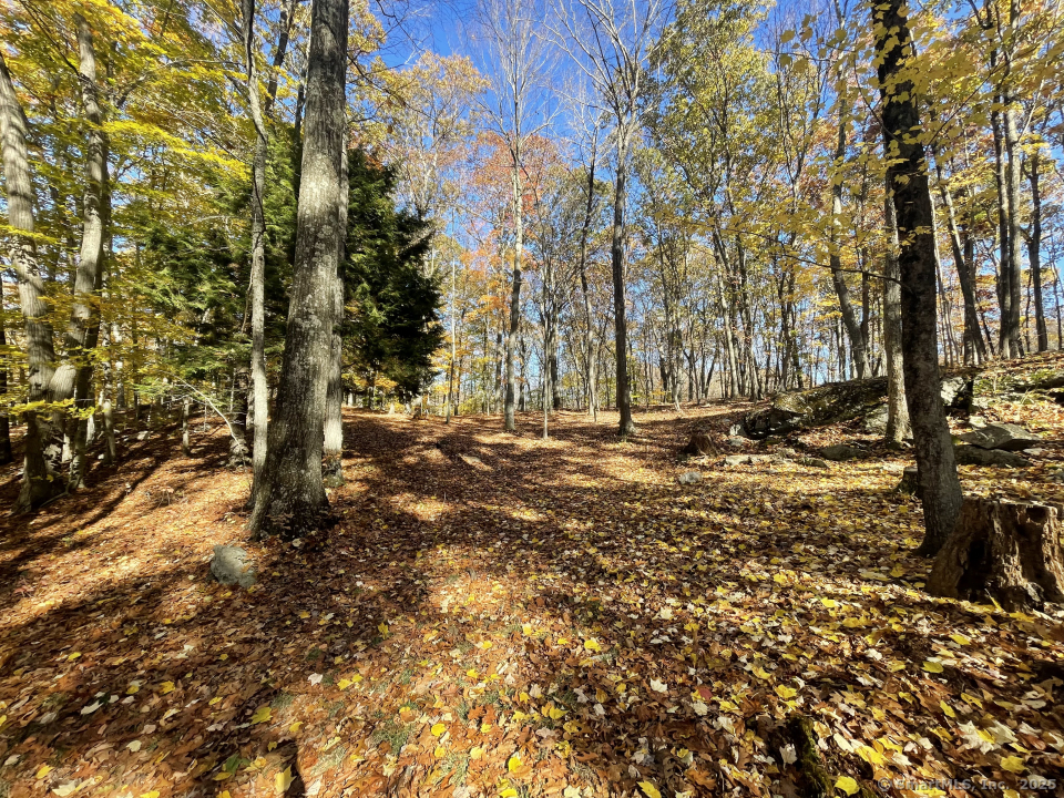 58 Botsford Hill Road, Newtown, Connecticut image 35