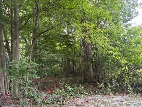 Park Road Lebanon CT 06249
