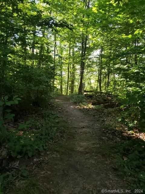 Tiny photo for 9 Beech Street, Farmington, CT 06032 (MLS # 24146074)