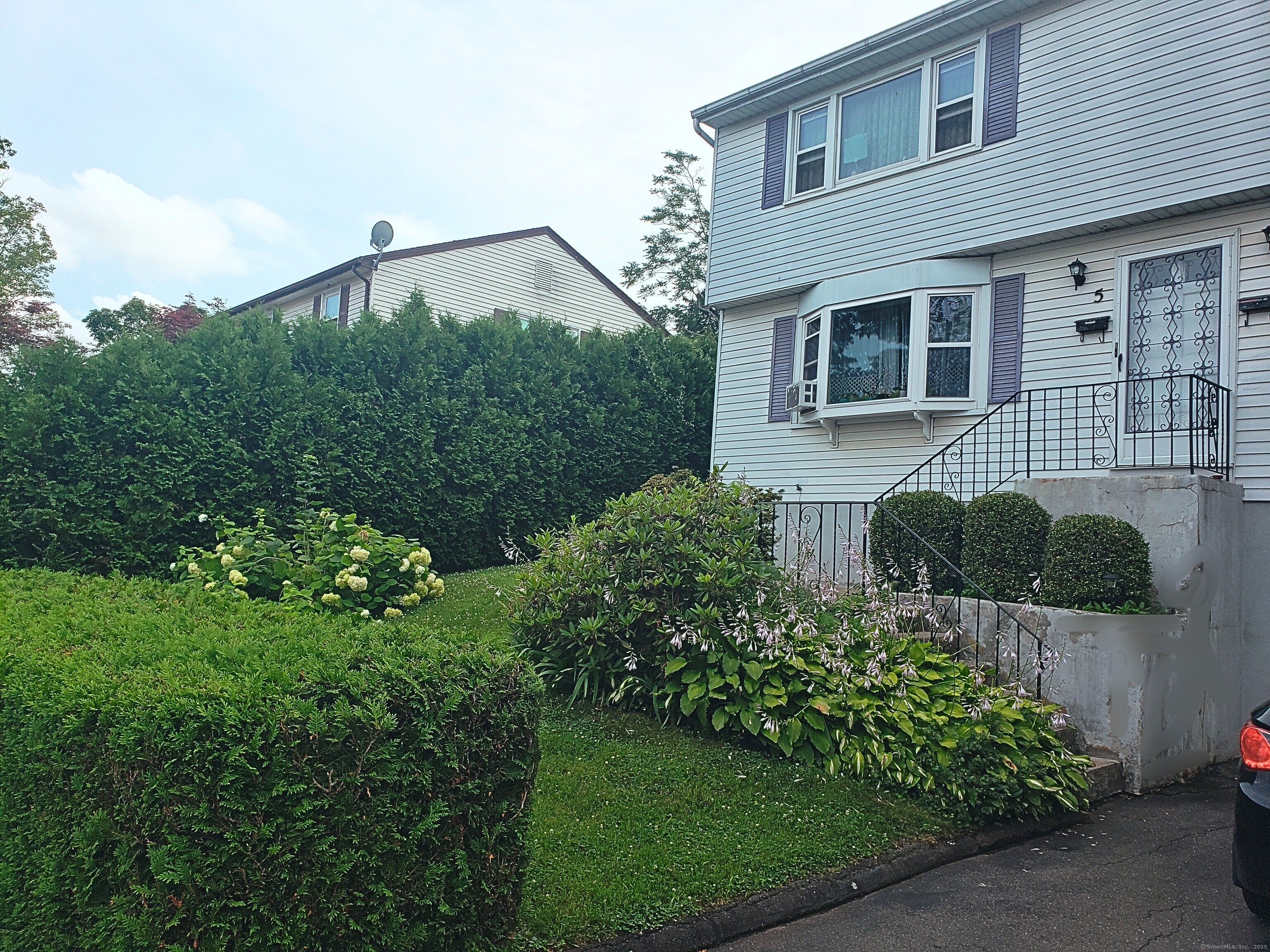 5 Whitman Street