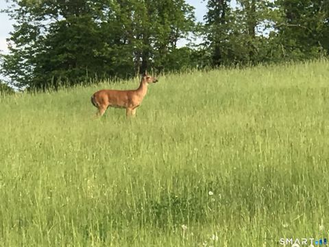 Tiny photo for 592 Ference Road, Ashford, CT 06278 (MLS # 24163257)