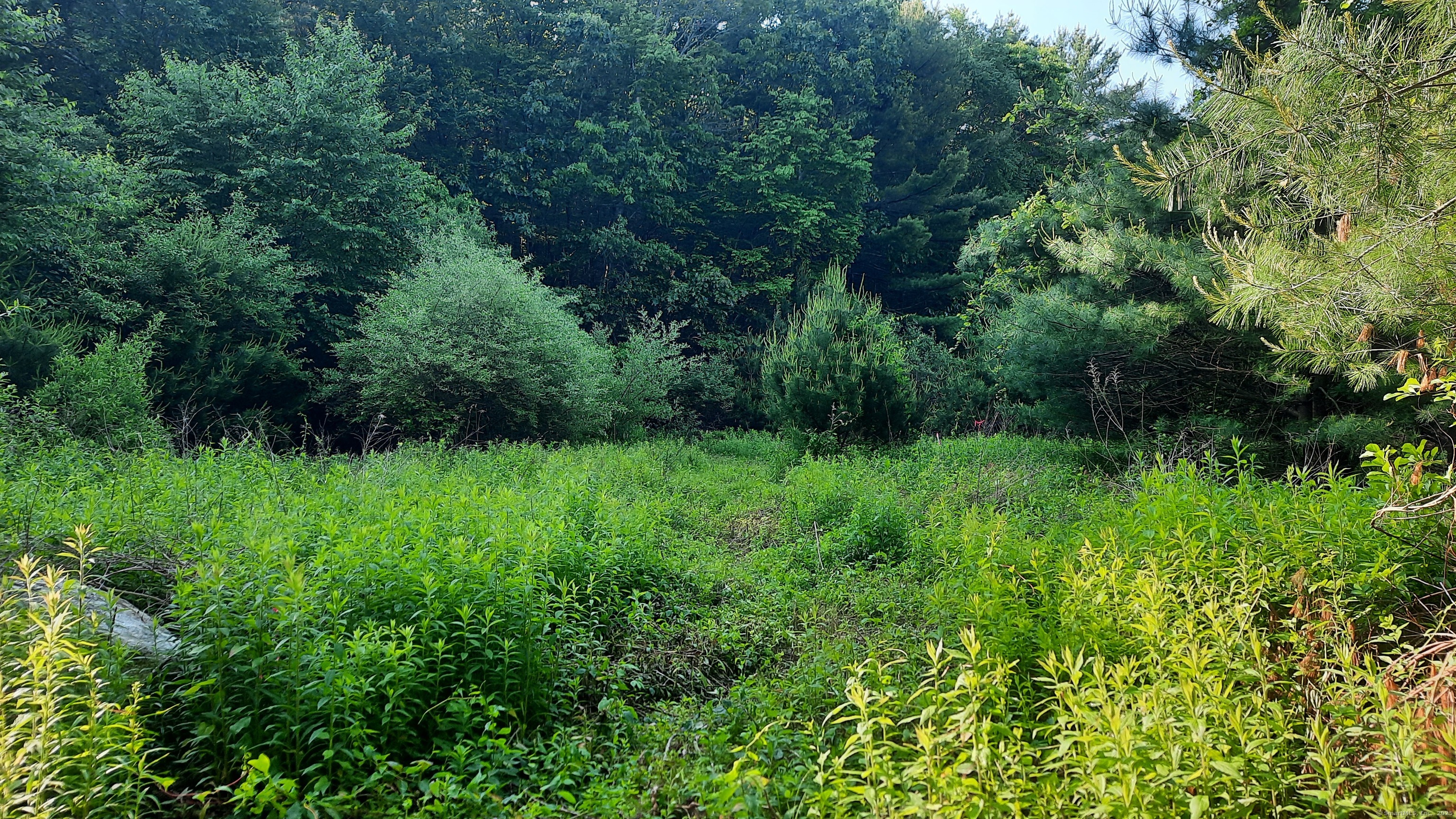Lot 169D Kapitulik Road, Thompson, Connecticut image 2