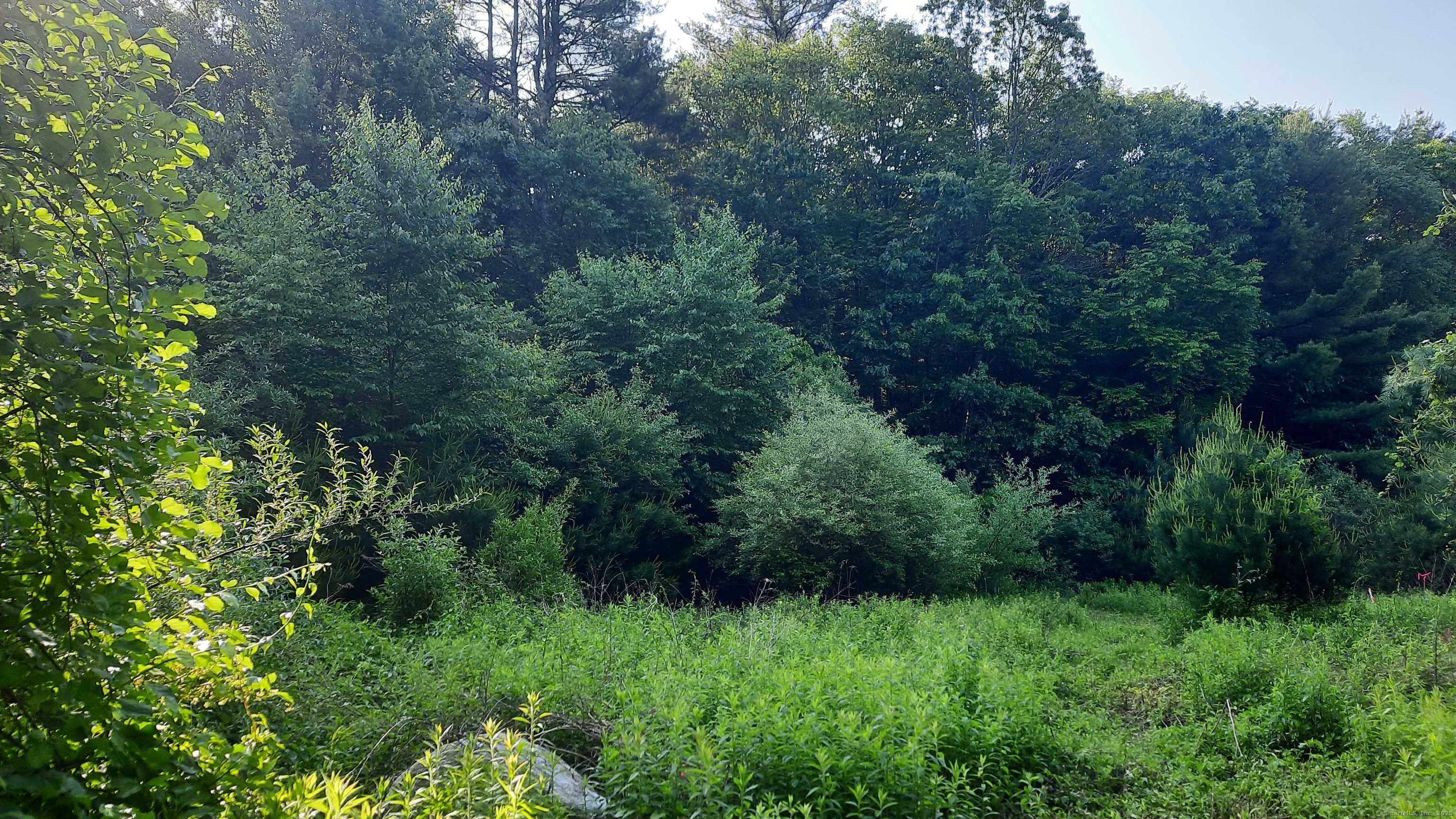 Lot 169D Kapitulik Road, Thompson, Connecticut image 3