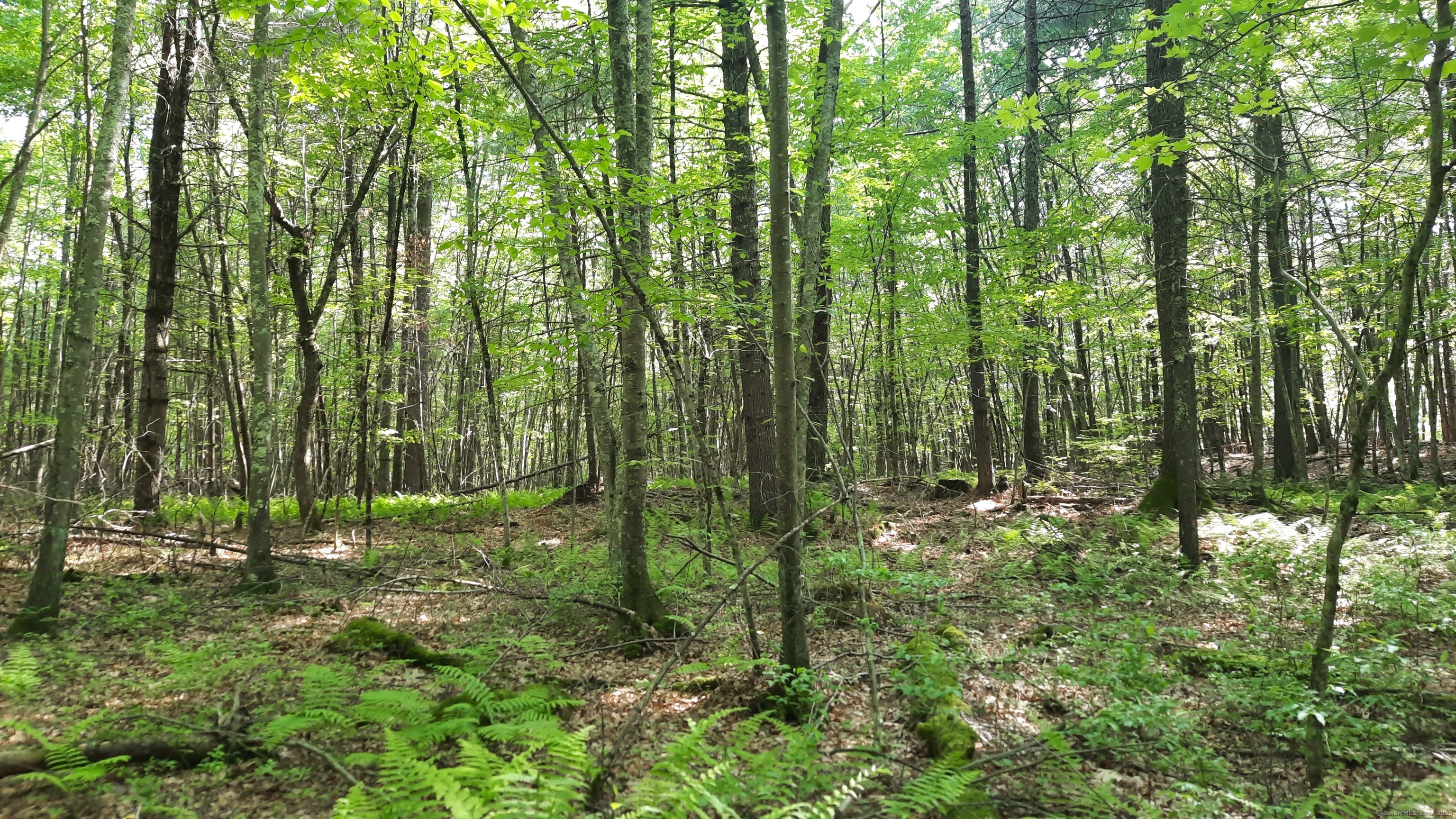 Lot 169D Kapitulik Road, Thompson, Connecticut image 1